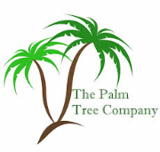 The Palm Tree Group
