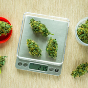 Cannabis & Dispensary Scales