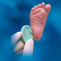BD Microtainer BD 368101-BD Microtainer Quikheel Safety Lancet, Lancets & Lancing Devices (BX)