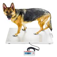 Medium-to-Large-Size Animal Vet Scale, Detecto Vet550