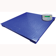 Adam PT 110 Platform with GK Indicator-2500 lb Capacity
