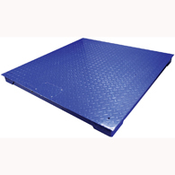 Adam PT 310-5 Platform with GK Indicator-5000 lb Capacity