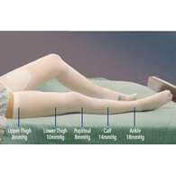 T.E.D. Cardinal 7470LF-T.E.D. Knee High Anti-embolism Stockings, 2Extra Large/Regular (PR)