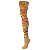 Celeste Stein Womens Leggings-Queen-Daisies