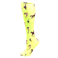 Celeste Stein Womens 20" Trouser Sock-Lime Horses