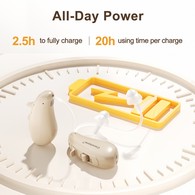 Ceretone CE-D12BT Solid Behind-the-Ear OTC Hearing Aids