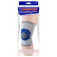 Champion 0435 Elastic Knee Support with Flexible Stays - Silver