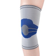 Champion 0436 Elastic Knee Support - Silver