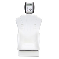 Detecto 8432-CH Digital Baby Chair Scale-44 lb/20 kg Capacity