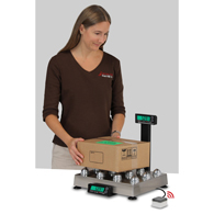 Detecto APS70 Enterprise POS/Logistics Scale-70 lbs/31 kg