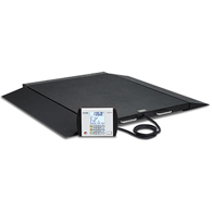 Detecto BRW1000 Portable Wheelchair Scale-1000 lb/400 kg Capacity