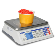 Detecto DM15 Price Computing Scale-240 oz/15 lb