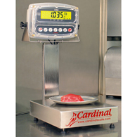 Detecto EB-15-190 Stainless Steel Bench Scale w/ 190 Indicator