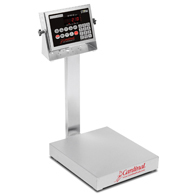 Detecto EB-150-210 Stainless Steel Bench Scale w/ 210 Indicator