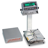 Detecto EB-30-190 Stainless Steel Bench Scale w/ 190 Indicator