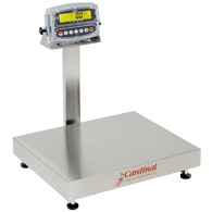 Detecto EB-300 Stainless Steel Bench Scale-190 Indicator-300 lb/150 kg