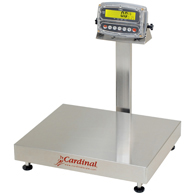 Detecto EB-300 Stainless Steel Bench Scale-190 Indicator-300 lb/150 kg
