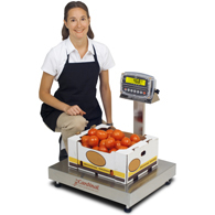 Detecto EB-300 Stainless Steel Bench Scale-190 Indicator-300 lb/150 kg