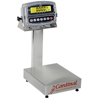 Detecto EB-300 Stainless Steel Bench Scale-190 Indicator-300 lb/150 kg