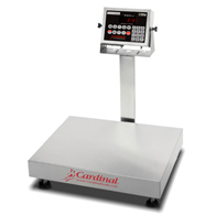 Detecto EB-300-210 Stainless Steel Bench Scale w/ 210 Indicator