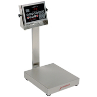 Detecto EB-60-210 Stainless Steel Bench Scale w/ 210 Indicator