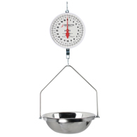 Detecto MCS-40F Hanging Fish Scale-40 lb Capacity