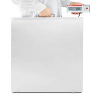 Detecto Vet550 Medium-to-Large-Size Animal Vet Scale