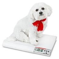 Detecto Vet75 Small-Size Animal Vet Scale