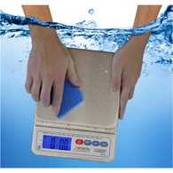 Detecto WPS12 Mariner Submersible Scale-12 lb/5500 g Capacity