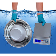 Detecto WPS12UT IP67 Washdown Digital Scale with Utility Bowl