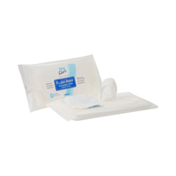 Flush Away Adult Dynarex 1322-Dynarex Flush Away Personal Wipes, Adult, Soft Pack, Aloe/Lanolin, Legacy Hold (CS/24)