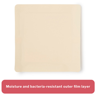 McKesson 16-4673-McKesson Acrylic Adhesive with Border Foam Dressing, 7 x 7 Inch, Foams (BX)