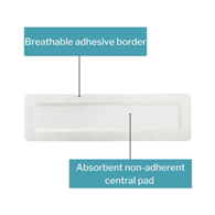 McKesson 16-89042-McKesson White Adhesive Dressing, 4 x 14 Inch, Island Dressings (CS)