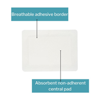 McKesson 16-89068 Island Adhesive Dressing-100/Case