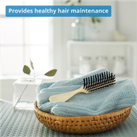McKesson 16-HB01-McKesson Black Polypropylene Hairbrush, 7.67 Inch, Brushes, Combs & Caps (BX)
