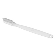 Freshmint New World Imports TB-JR-Freshmint Straight Pediatric Toothbrush, Toothbrushes (GR)