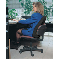 ObusForme LBBLKCA Lowback Backrest Support-Black