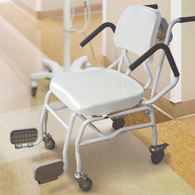 Rice Lake 560-10-1 Digital Chair Scale (166644)