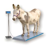 Brecknell PS-1000 Portable Floor Scale, 1000 lb/500 kg Capacity