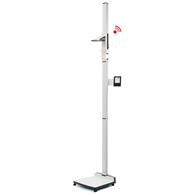 Seca 284 360 Wireless Measuring Station