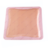Allevyn Gentle Border Smith & Nephew 66800280-Allevyn Gentle Border Silicone Foam Dressing, 7 x 7 in, Foams (EA/1)