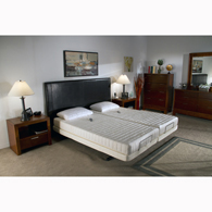 Transfer Master B310-H Supernal Hi-Low Bed-Ascent 1-Queen-Bamboo