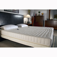 Transfer Master B310-RP Supernal Recliner Plus w/ Ascent 1 Mattress